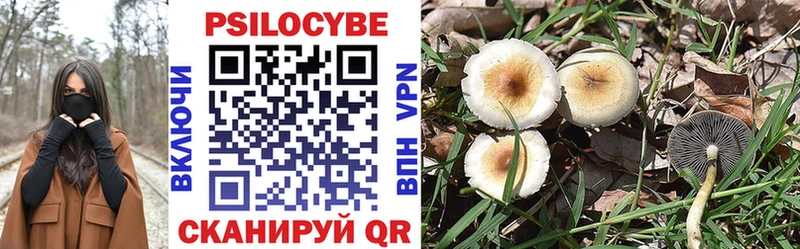 Псилоцибиновые грибы Psilocybe  даркнет официальный сайт  Голицыно 